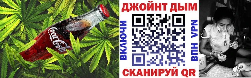 где продают наркотики  ОМГ ОМГ как войти  Canna-Cookies конопля  Гвардейск 