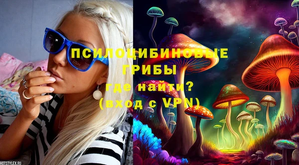 бошки Баксан