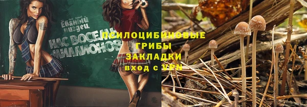 дмт Балахна
