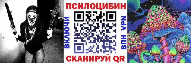 Галлюциногенные грибы Psilocybine cubensis  Гвардейск 