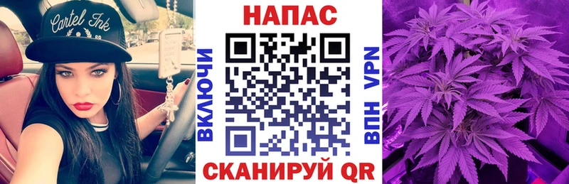 Канабис THC 21%  магазин продажи   Гвардейск 